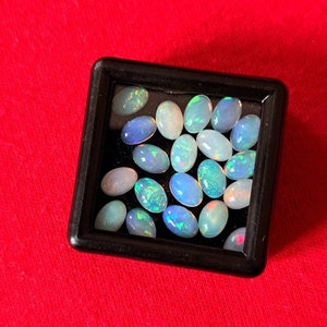 Wiebke added a photo of their purchase