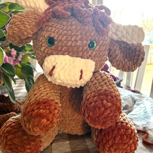 LeeAnn added a photo of their purchase