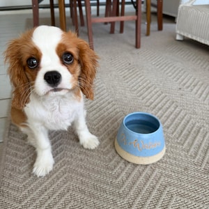 Eloise added a photo of their purchase