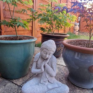 Nicholas added a photo of their purchase