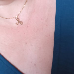 karine added a photo of their purchase