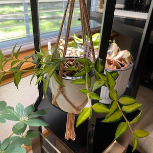 Diane added a photo of their purchase