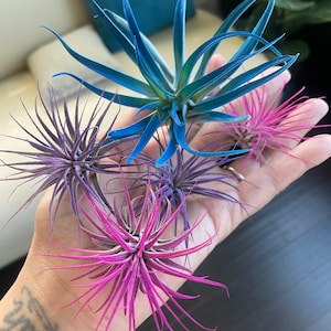 Cindy added a photo of their purchase