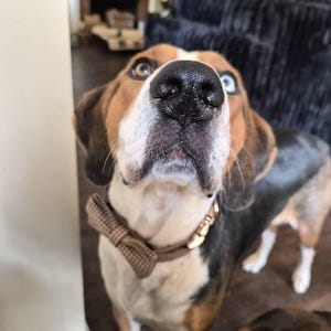 Reilly adicionaram uma foto da sua compra