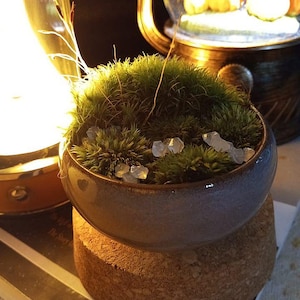 Lia hat ein Foto des gekauften Artikels hinzugefügt