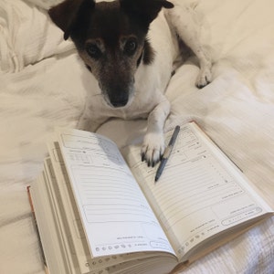 Sinead added a photo of their purchase