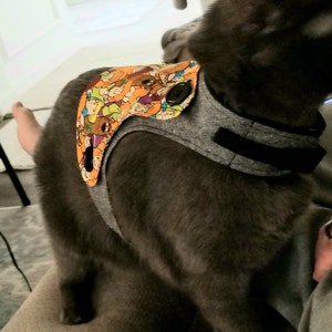 Kathleen added a photo of their purchase
