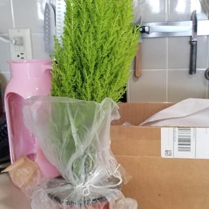 Mary added a photo of their purchase