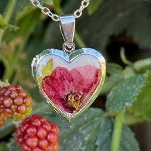 Petra added a photo of their purchase