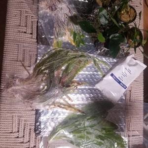 fortysixandtwo added a photo of their purchase