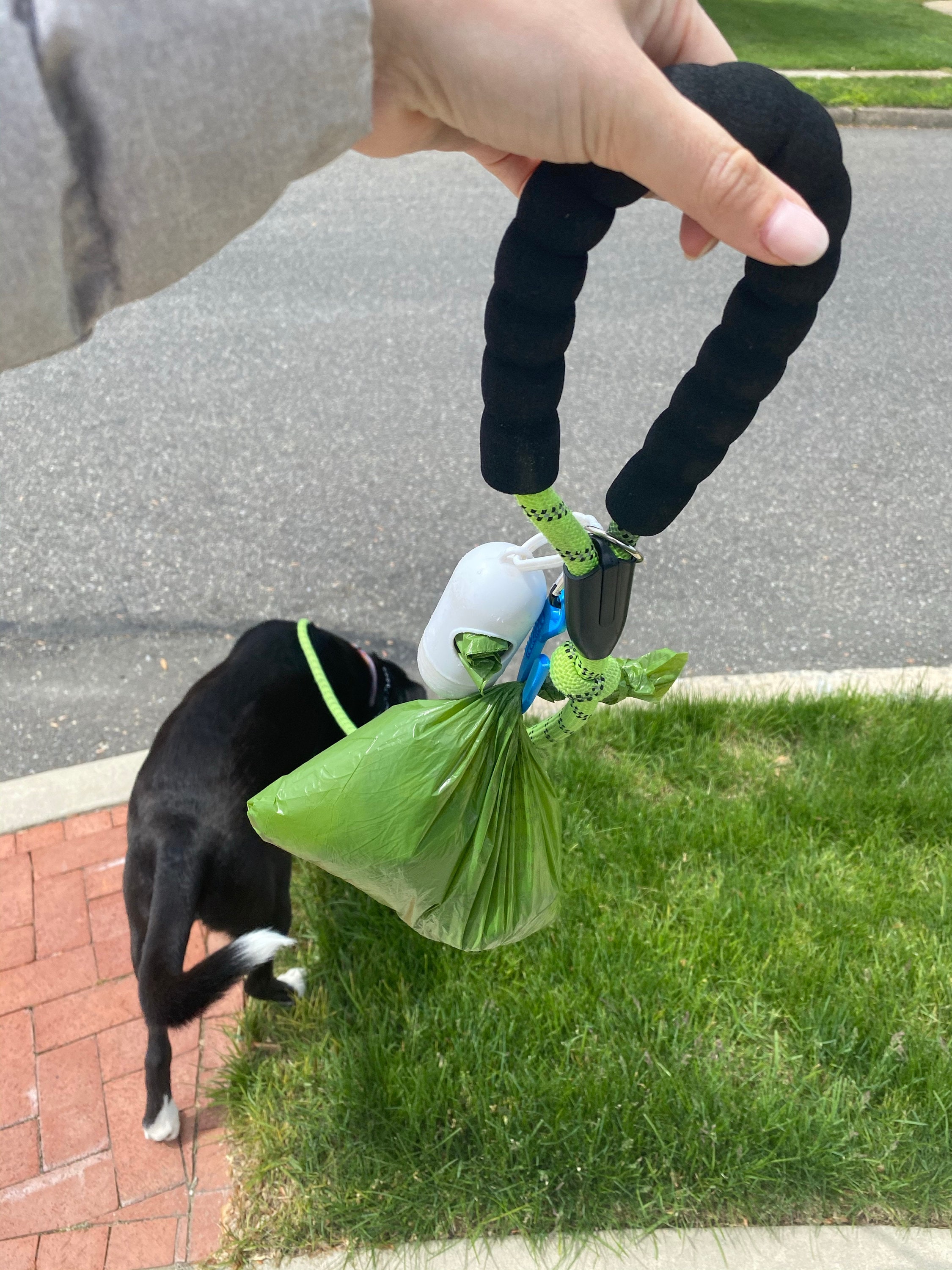 Hookapoo Dog Poop Bag Carrier Dog Poo Holder Clip on Hands free Sustainable Pink and Blue, Poo Hook