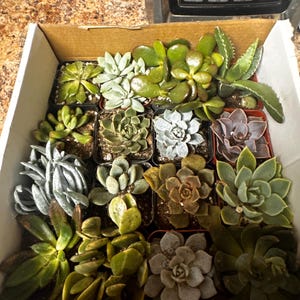Jake added a photo of their purchase