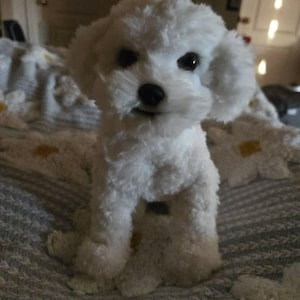 Pearl added a photo of their purchase