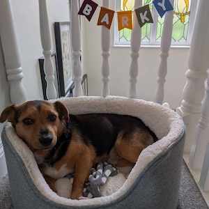 Zoe added a photo of their purchase