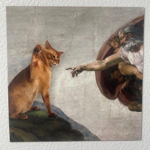 Jules added a photo of their purchase