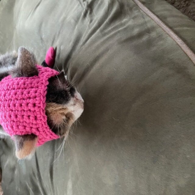 Padded Hat for Wobbly Cats - Etsy