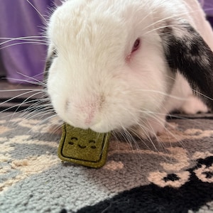 sonnet added a photo of their purchase