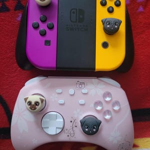 Sierra added a photo of their purchase