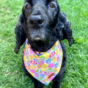 Bonnie added a photo of their purchase