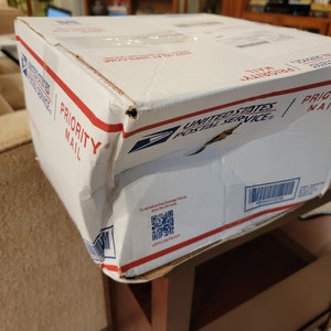 Shell Bits & Pieces Shards Beach Sand Tiny Little Shells for | Etsy