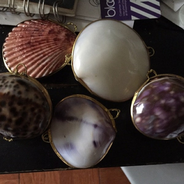 Real Seashell Trinket, Coin, Pill, Jewelry Box or Purse ~ Available in ...