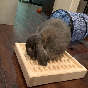 digging toys for rabbits