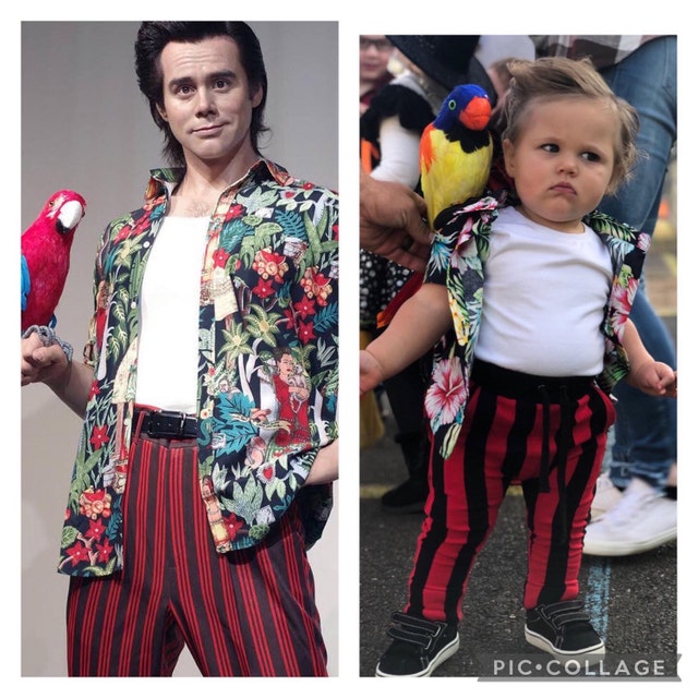 Ace ventura outfit sale