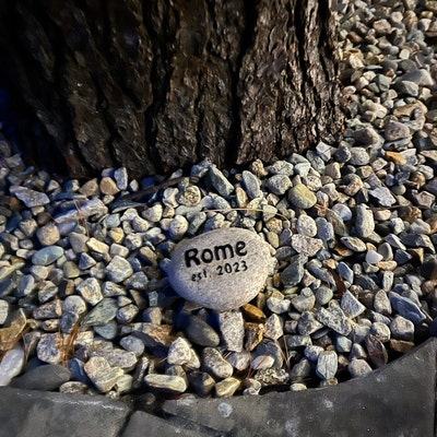 Custom Hand Painted Rocks - Etsy