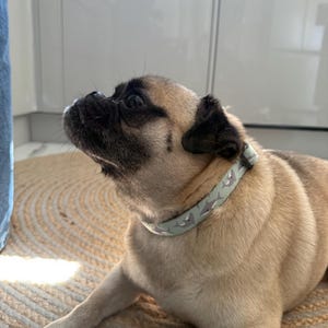 Isabelle added a photo of their purchase