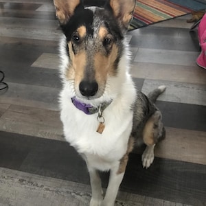 Gracie added a photo of their purchase