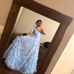 blue butterfly wedding dress Quinceanera Dresses Spaghetti Straps Beading with 3D Butterfly Appliques, Sky Blue / 8