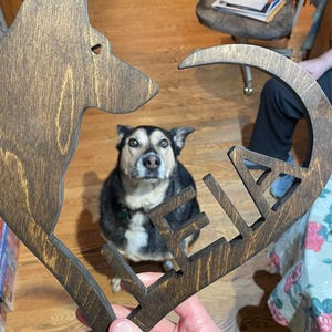 Shelby added a photo of their purchase