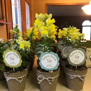 8 Baby Shower Favors Flower Plant Favors Personalized Etsy