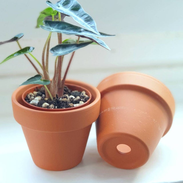 Terracotta Pots 1-50 pcs - Small Planters, Plant Pots, Garden etc (Pots in  CM)