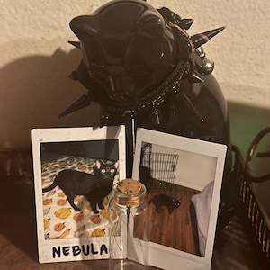 Sierra added a photo of their purchase