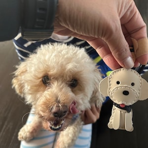 Vel Criste added a photo of their purchase