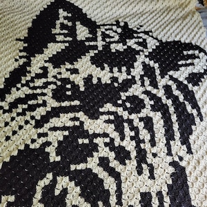 SKULL C2C Graph Pattern, Written Row by Row Instruction, C2c Pattern ...