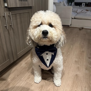 Pajarita Para Perro, 1 Paquete, Collar De Pajarita Blanca Ajustable Para Perros Pequeños, Gatos, Bodas Y