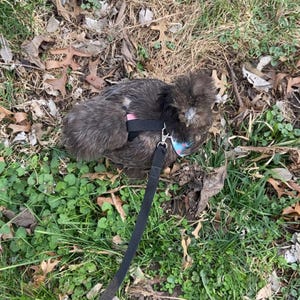 Alissa added a photo of their purchase