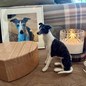 Anne added a photo of their purchase