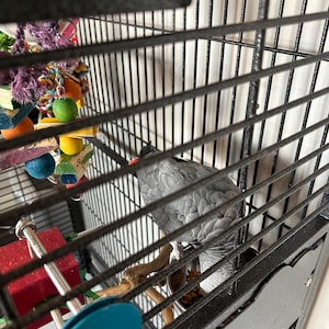 Etsy buyer added a photo of their purchase