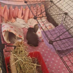 bunny added a photo of their purchase
