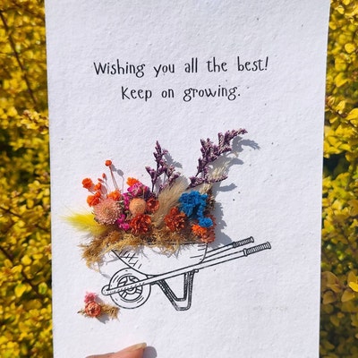 A4 Plantable Seed Paper U2013 Printer Friendly - Wild Bloom Box