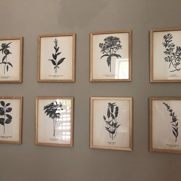 Vintage Botanical Prints Set of 8 Botanical Poster Wildflower Print ...
