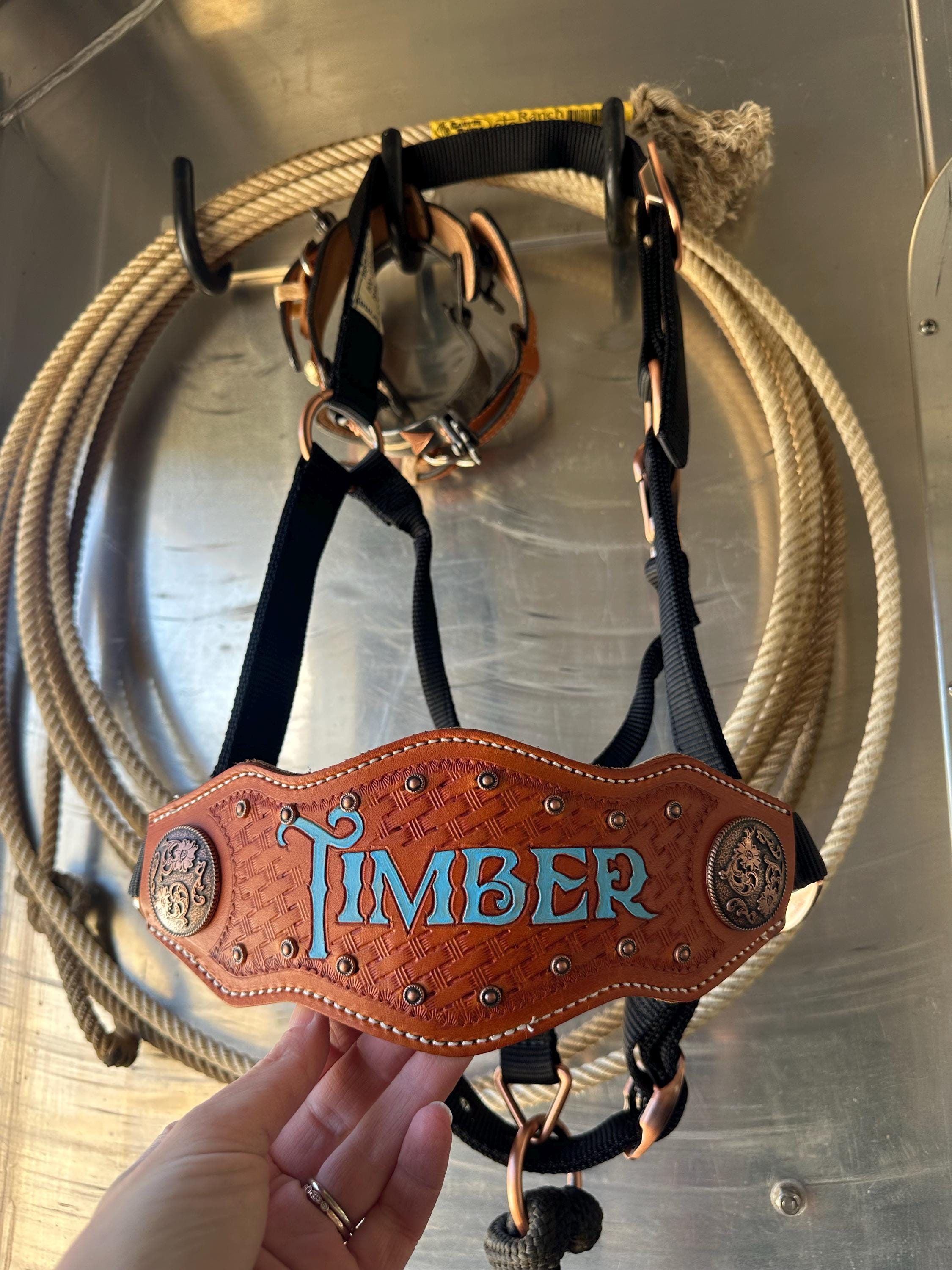 Custom Nylon Bronc Halter - Stronger Design Than Tab Style Leather Noseband