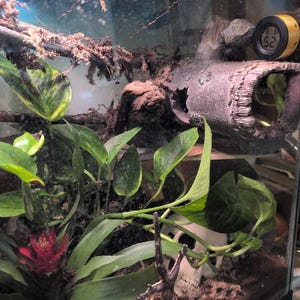 Michael added a photo of their purchase