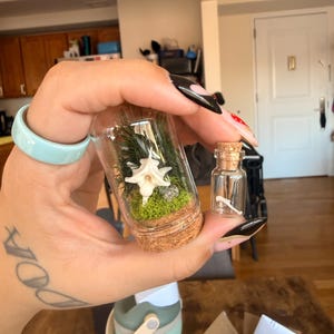 Natalie added a photo of their purchase