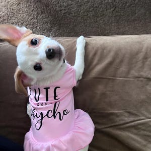Amy ha añadido una foto de su compra