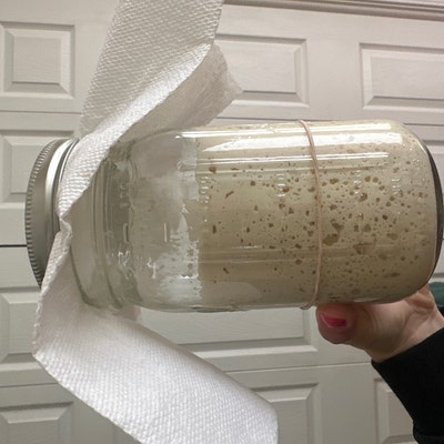 Gluten Free Sourdough Starter Maintained With GF King Arthur - Etsy