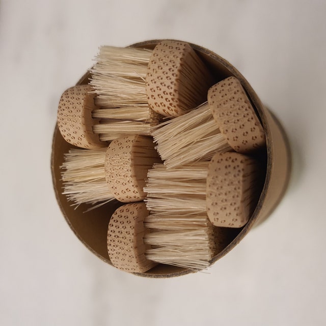 Bamboo Counter-Top Toothbrush Holder - CleanPlaneterra